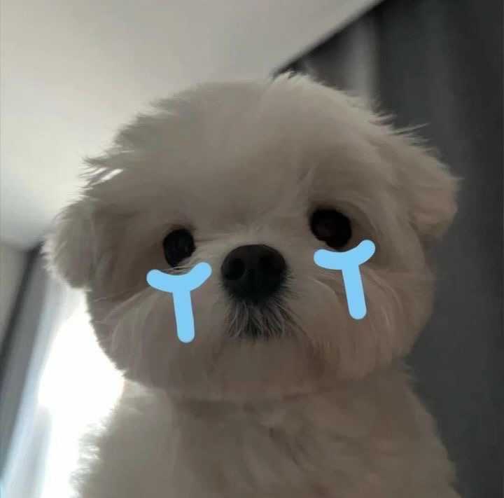 Lê Đức Chiến